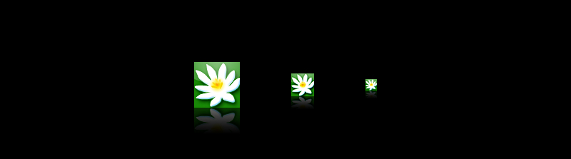 Icon for Yoga Shuddhi site